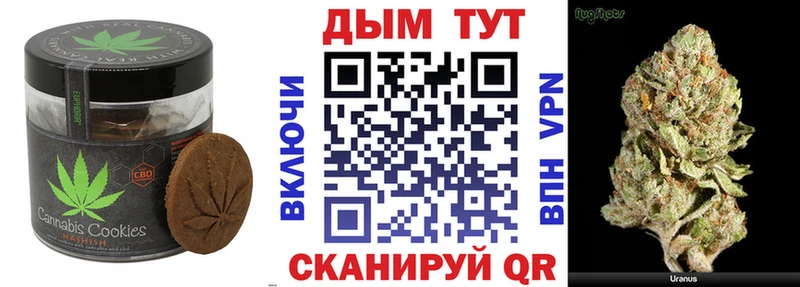 Canna-Cookies марихуана  Купить  Ковылкино 