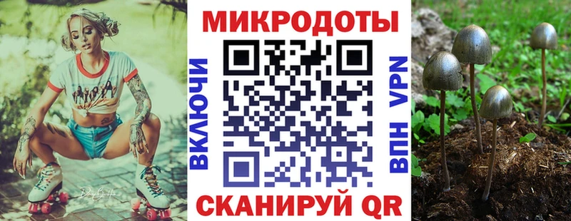 Псилоцибиновые грибы GOLDEN TEACHER  Купить где  Ковылкино 